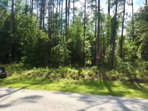 Spacious Land in Dunnellon, FL