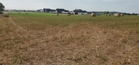 Agricultural Land Farmland with Hay Lease