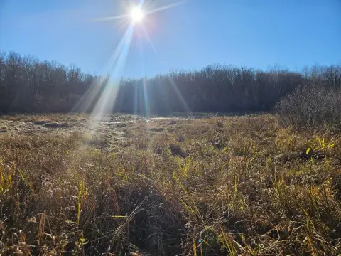 Recreational Hunting Land Parcel