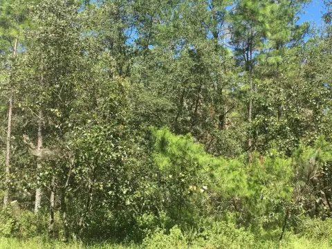 Residential Land in Ocala, FL