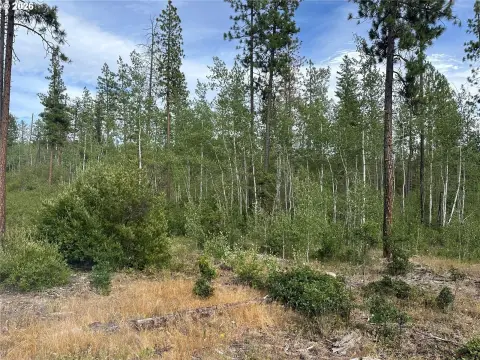 Recreation Land