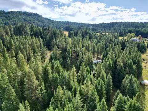 Wooded Recreation Land