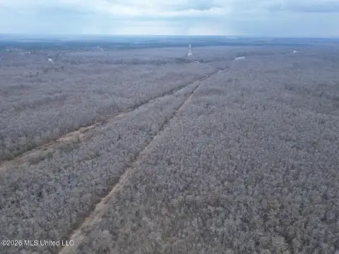 Hardwood Hunting Land with River Frontage