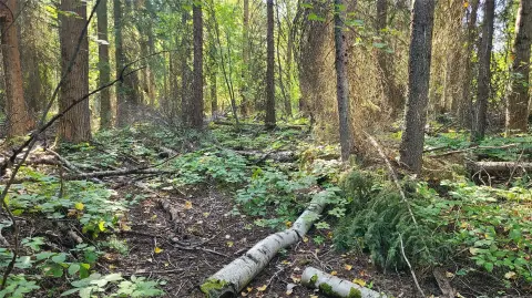 Land Near Meadowlake Golf Course