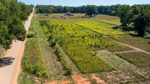 Unrestricted Agricultural Land