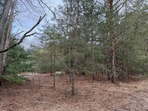 39 Acres Wooded Recreational Land