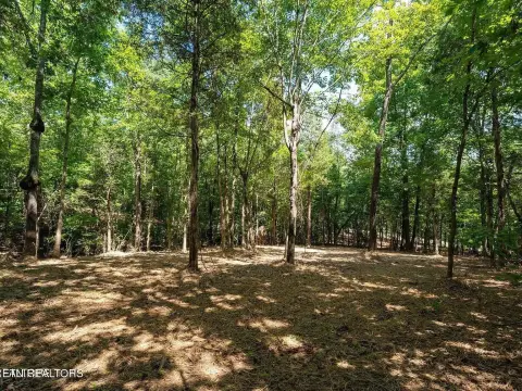 Lake Subdivision Development Lot