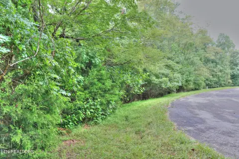 Wooded Cul-de-Sac Homesite