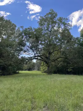 Land in Gated Subdivision