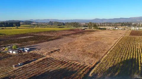 Vineyard Estate Holding