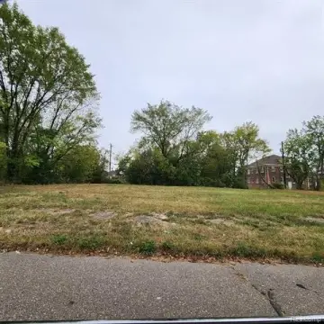 Detroit Land Opportunity: Infill Housing