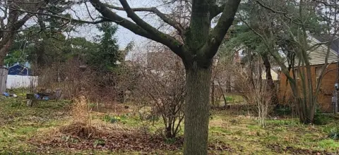 Vacant Lot in Grand Rapids