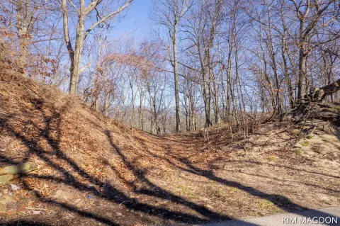 Wooded Lot Near Lake Michigan