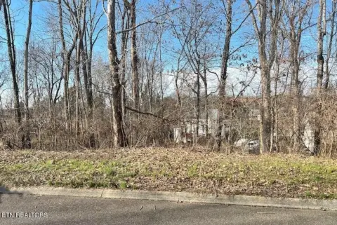 Buildable Residential Lot