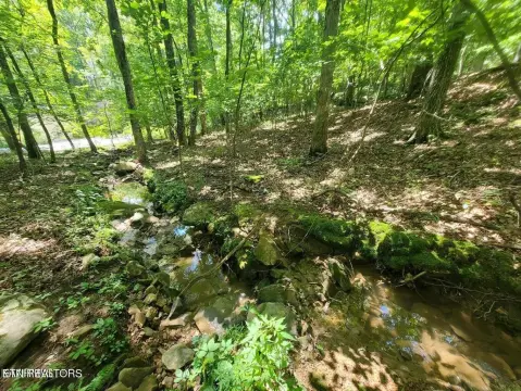 Residential Building Lot with Brook