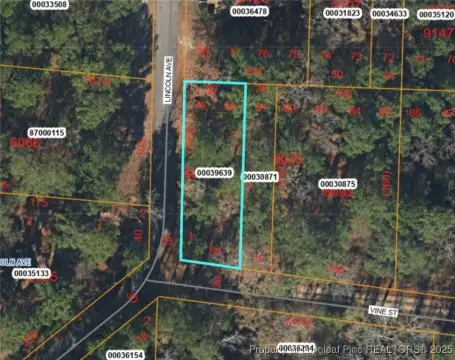 Wooded Lot in Vass, NC