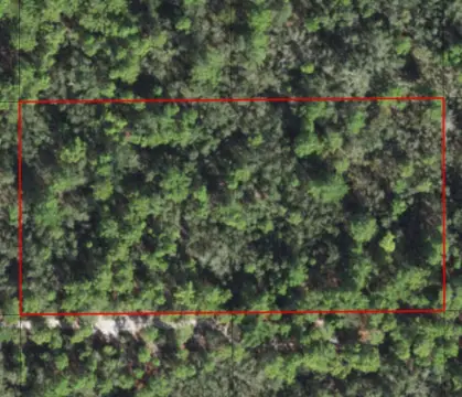 Wooded Recreational Land Parcel