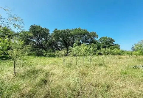 12-Acre Lot in Willis Creek