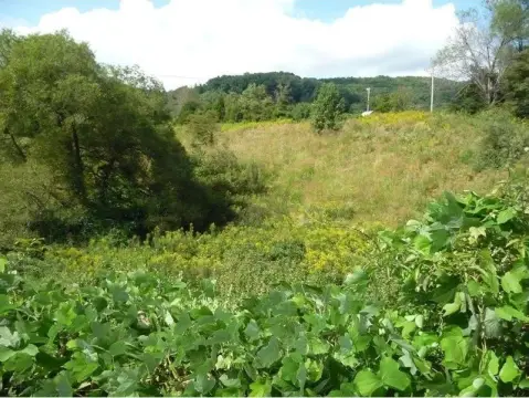 5.42 Acres Rolling Land