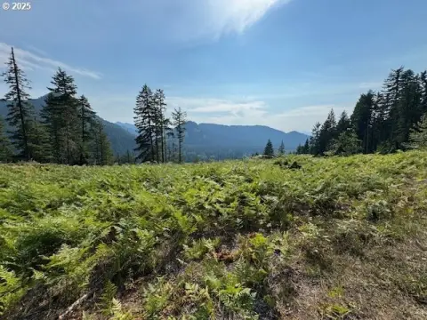 Scenic Land Parcel with Views
