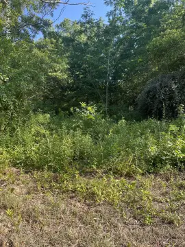Residential Building Lot Opportunity
