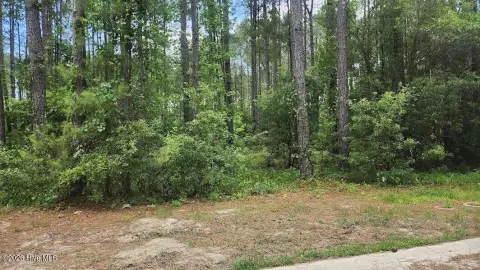 Residential Home Lot in Gated Community