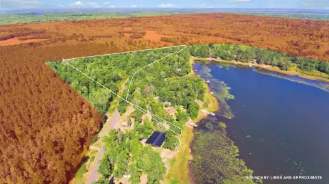 Wooded Waterfront Land