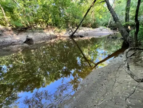 Waterfront Timber & Hunting Investment