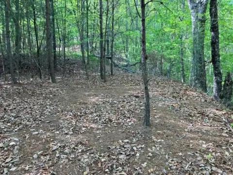 Residential Land Lot with Driveway