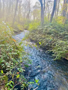 Vacant Land Near Trout Stream