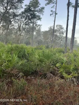 Residential Land in Crescent City