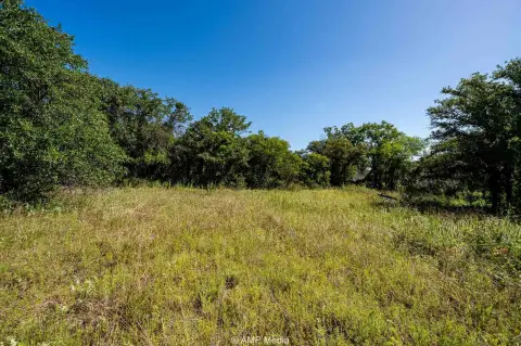 Wooded Hunting Land Tract