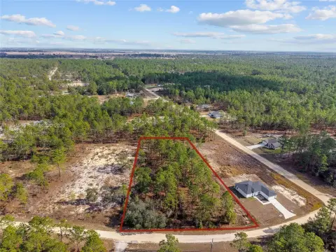 Ocala Homesite: Build Your Dream