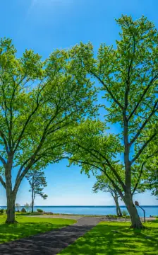 Lake Michigan Vacant Land