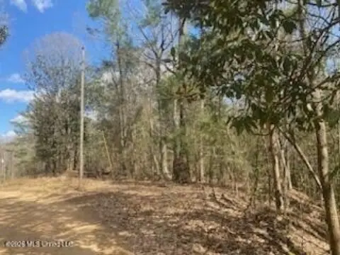 Timber Hunting Land with Lake Access
