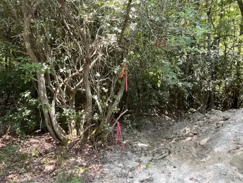 Etowah Vacant Land Opportunity