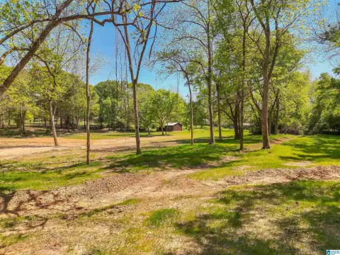 6 Acre Lot in Thorsby