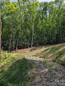 Land Parcel with Roughed-In Driveway