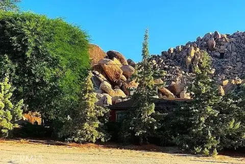 Joshua Tree Corner Lot