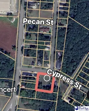 Residential Lot in Dillon, SC