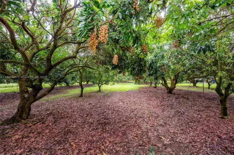 Redland Agricultural Land Opportunity