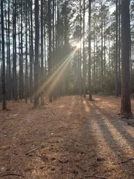 Wooded Land in Gated Community