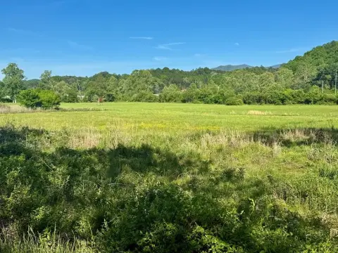 Riverfront Pasture Land Opportunity