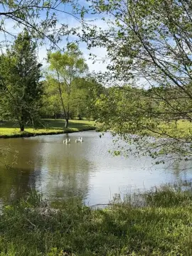 Vacant Land Acreage with Pond