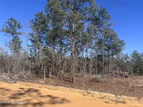 Wooded Lot in Interlachen, FL