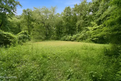 Waterfront Homesite with Direct Access
