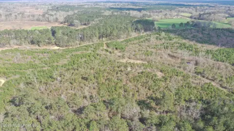 Rankin County 60-Acre Land Tract