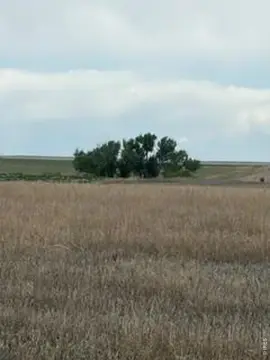 Vacant Farmland Parcel with Mountain Views