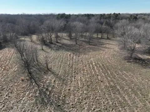 80 Acres of Oklahoma Land