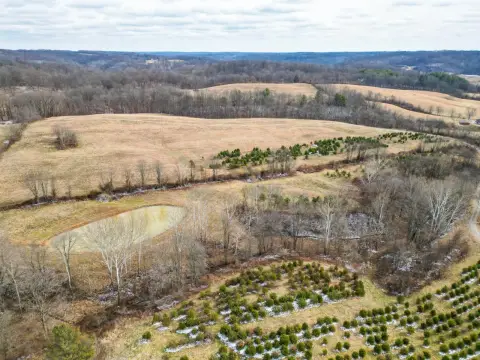 63 Acres with Income Potential